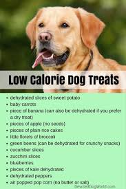 One of our favourite gluten. Pin On Low Calorie Dog Food