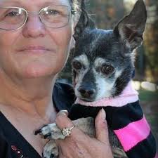 My cat Pretzel aways pees