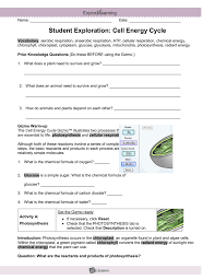 Each lesson includes a student exploration sheet, an exploration sheet answer key, a teacher guide, a vocabulary sheet and assessment questions. Student Exploration Carbon Cycle Gizmo Answer Key Activity A Carbon Cycle