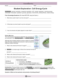 Download ebook gizmo cell division answer key. Circuits Gizmo Answer Key Activity B