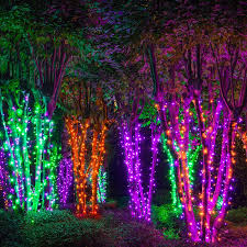 Explora 1.013 fotografías e imágenes de stock sobre hanging christmas lights on trees outside o realiza una nueva búsqueda para encontrar más fotografías e imágenes de stock. Wrapping Trees With Christmas Lights