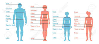 Man Woman Boy And Girl Size Chart Human Front Side Silhouette