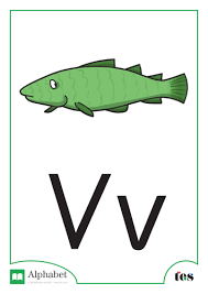 Alphabe tic letter and n umeric digit. The Letter V Ocean Theme Teaching Resources