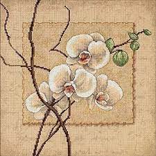 Looking for your next counted cross stitch project? Amazon Com Dimensions Oriental Orchids Counted Cross Stitch Kit 14 Count Beige Aida 12 X 12