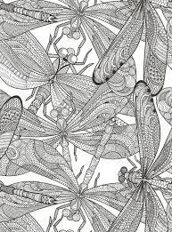 So many opportunities to be creative in one little insect. Pin On A Coloring Pictures
