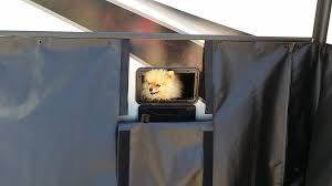 Maybe you would like to learn more about one of these? Lazydays Loveland Co Johnstown Co Recreational Vehicle Dealership Facebook