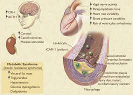 Treatment Of Depression In Patients With Coronary Heart Disease The American Journal Of Medicine