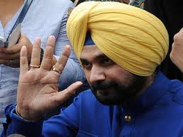 Sidhu has publicly attacked the chief minister over an sit report on the sacrilege issue in punjab. Navjot Singh Sidhu S Own Govt Opposes Acquittal In Road Rage Case Chandigarh News Times Of India