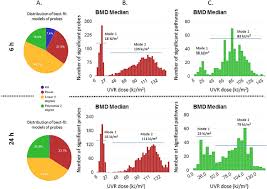 Bmd Summary Outputs A 6 And 24 Hr Pie Charts Plotted To