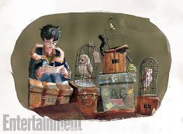 Harry Potter And The Order Of The Phoenix Jim Kay See 4 Never Before Seen Images From The Illustrated Harry Potter And The Sorcerer S Stone Harry Potter Illustrations Harry Potter Drawings Harry Potter Artwork