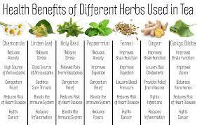 Herbal Fruit Teas Are Technically Not Tea As Traditional Tea Comes From The Camellia Sinensis Pla Herbal Tea Benefits Echinacea Benefits Tea Health Benefits