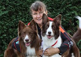 The dog will be encouraged by your own excitement and enthusiasm and. Susan Garrett S Crate Games Online Dogsthat