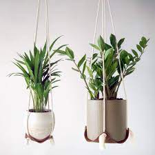 Find the perfect patio furniture & backyard decor at hayneedle, where you can buy online while you explore our room designs and curated looks for tips, ideas & inspiration to help you along the way. Hangee Hanging Planter 2 Pcs Genuine Leather Plant Hangers Indoor 4 5in And 8in Minimalist Modern Boho And Rustic Hanging Planters Indoor Hanging Plant Shelf Hanging Plant Holder Buy