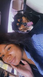 Rehoming 5-year-old mixed breed dog