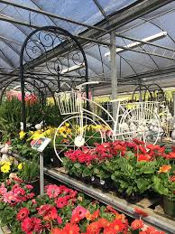 Plant Nursery And Garden Center Tips To Help You Choose The Right Plants Plant Nursery Plants Local Plant Nursery