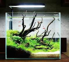 Beautiful Fish Tank Ideas For Relaxing Home Engineering Basic In 2020 Fish Tank Design Fish Tank Aquascape