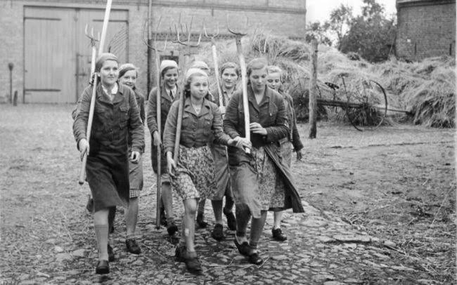How Did Potatoes Become Political in Wartime? | History Hit