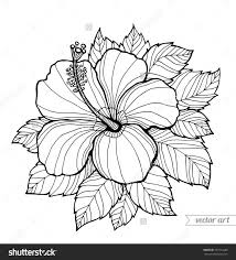 This coloring page features tiki, the hawaiian god. Stock Vector Hawaii Hibiscus Flower Leaf Aloha Hawaii Vector Floral Artwork Coloring Flower Coloring Pages Mandala Coloring Pages Coloring Pages Inspirational