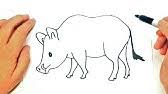 How To Draw A Doe Youtube #does drawing fictional characters help? how to draw a doe youtube