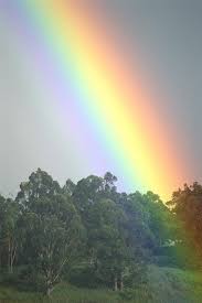 Pin By Haline Powers On God Put A Rainbow In The Clouds Rainbow Sky Rainbow Love Rainbow
