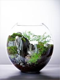 46 Fresh Terrarium Ideas That Are Simply Gorgeous Decorecord Beautiful Terrariums Terrarium Decor Garden Terrarium