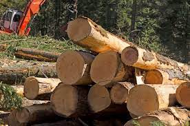 With such a selection, we are sure to have a unit that meets your needs and exceeds your expectations. How To Start A Firewood Business Ideas And Tips