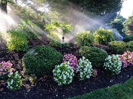 Cumpara flori chisinau la preturi avantajoase. Ghid De Amenajare A Gradinii De La A La Z Piatraonline