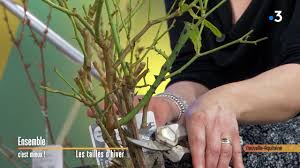 Cosette leva la tête et répondit: Taille D Hiver Ensemble C Est Mieux 06 02 2020 Youtube