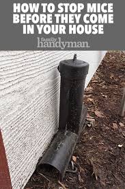 How To Stop Mice Before They Come In Your House Diy Home Repair Home Repair Home Fix