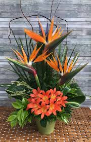 Bird Of Paradise Arrangement Bird Of Paradise Tropical Arrangement Modern Flower Arrangements Modern Flower In 2020 Large Flower Arrangements Fresh Flowers Arrangements Church Flower Arrangements