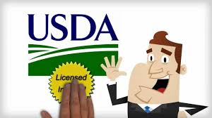 What if i can pay 20% down? Usda Home Loan Programs In Texas Fda Approved Lenders