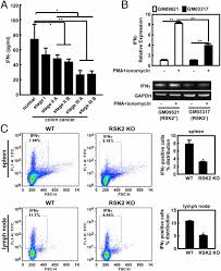 The initial changes to the genome that cause cancer are called driver mutations. Rsk2 Phosphorylates T Bet To Attenuate Colon Cancer Metastasis And Growth Pnas