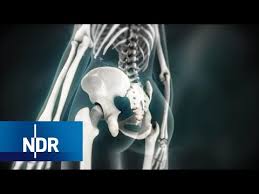 Steissbein Schmerzen Vorbeugen Und Behandeln Visite Ndr Youtube