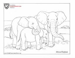 Coloring pages for kids elephants coloring pages. Elephant Coloring Page Archives Global Conservation Force