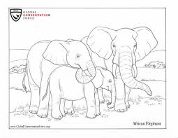 Please join our creature conservation club to play fun games, watch videos, and earn points to get coloring book pages about pangolins. Pangolin Coloring Page Archives Global Conservation Force