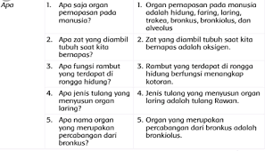 Kalimat tanya adalah kalimat yang isinya berupa suatu pertanyaan mengenai sesuatu hal. Pengertian Kalimat Tanya Pengertian Jenis Dan Contohnya