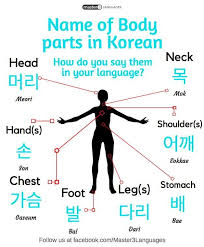 Pin On Korean Learning And Such