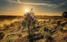 We did not find results for: Lanskap Pohon Kabut Kabut Langit Matahari Terbit Sunset Hills Gambar Resolusi Tinggi Wallpaper Hd Wallpaperbetter