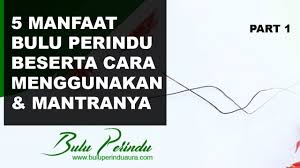 Bulu perindu asli kalimantan yang sudah difermentasikan akan menghasilkan daya pikat yang luar biasa. Pengobatan Dan Khasiat Herbal Khasiat Batu Bulu Perindu