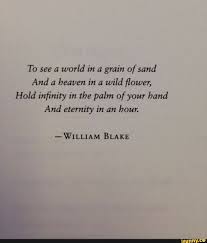 To See A World In A Grain Of Sand And A Heaven In A Wild Flower Hold Infinity In The Palm Of Your Hand And Eternity In An Hour William Blake