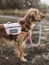 The american with disabilities act says that guide dogs can if the person says that it is a service dog, no further questions can be asked, and no one can require a vest or other marking or certification as proof. He S A Boy Wearing Pink Deal With It It S Adorable In 2021 Service Dogs Gear Service Dog Vests Psychiatric Service Dog