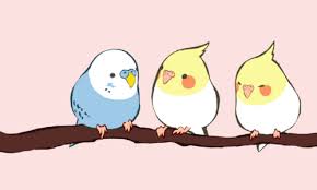 Cute Bird On Branch Drawing Pin On Cuties