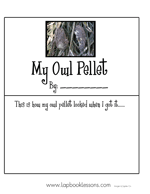 Owl Pellet Worksheet Lab Sheet Activity Owl Pellets Bird Unit Study Owl Classroom