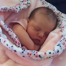 Activities & Deadlines for March