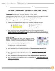 Genes are segments of dna that control a particular trait. Mousegenetics2se 1 Doc Name Date Student Exploration Mouse Genetics Two Traits Vocabulary Allele Genotype Phenotype Probability Punnett Square Note Course Hero
