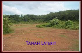 Jenis tanah ini banyak dijumpai di pegunungan tinggi dengan suhu udara rendah curah hujan tinggi, dan wilayahnya tertutup oleh vegetasi yang rapat sehingga mengandung humus yang tinggi. Jenis Jenis Tanah Persebaran Dan Pemanfaatannya Azanul Ahyan