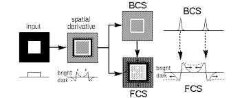 images?q=tbn:ANd9GcSX-hhvl0wXVIHV_xMDnl_6MCNz-05XF9ggEd8LC8GWfJVGw3HOlU_LKREyL0-IpfqDYzM&usqp=CAU