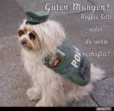 Wähle einfach das gewünschte bild aus der kategorie guten morgen. Guten Morgen Kaffee Bitte Oder Du Wirst Verhaftet Lustige Bilder Spruche Witze Echt Lustig