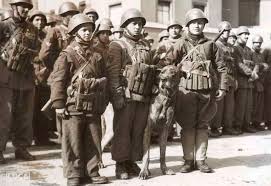 Più di 300.000 bambini combattono. Bambini E Adolescenti Durante La Seconda Guerra Mondiale Wikipedia