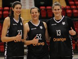 Belgian cats kennen potentiële tegenstanders op olympisch kwalificatietoernooi. Belgian Cat Serena Lynn Geldof Verhuist Naar Spaanse Competi Het Nieuwsblad Mobile